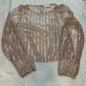 Line+Dot Sequin Long Sleeve Mesh Sparkle Top Size Medium